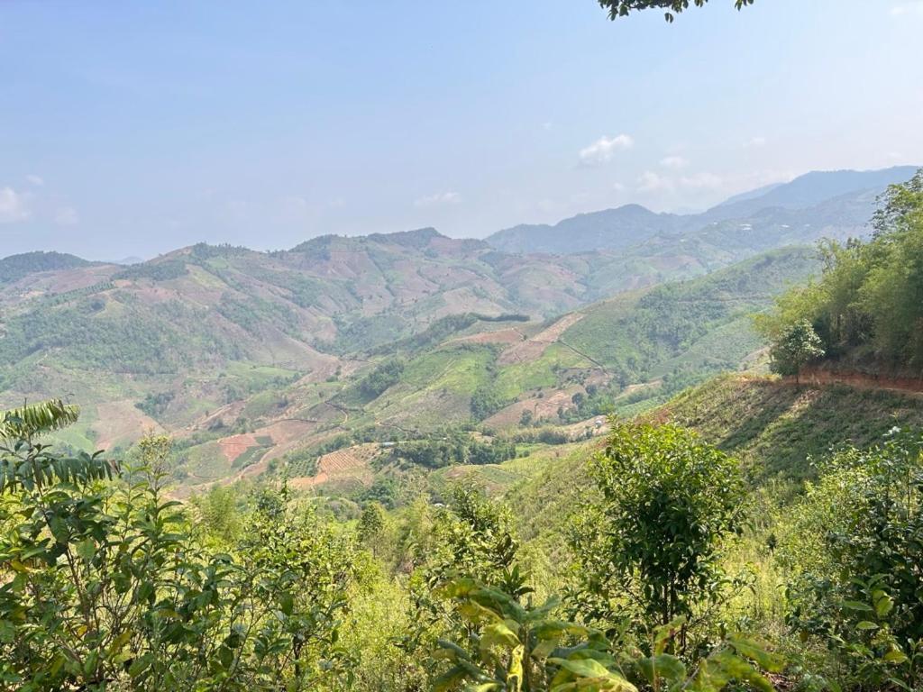 My Story Doichang Chiangrai Ban Huai Khai ภายนอก รูปภาพ